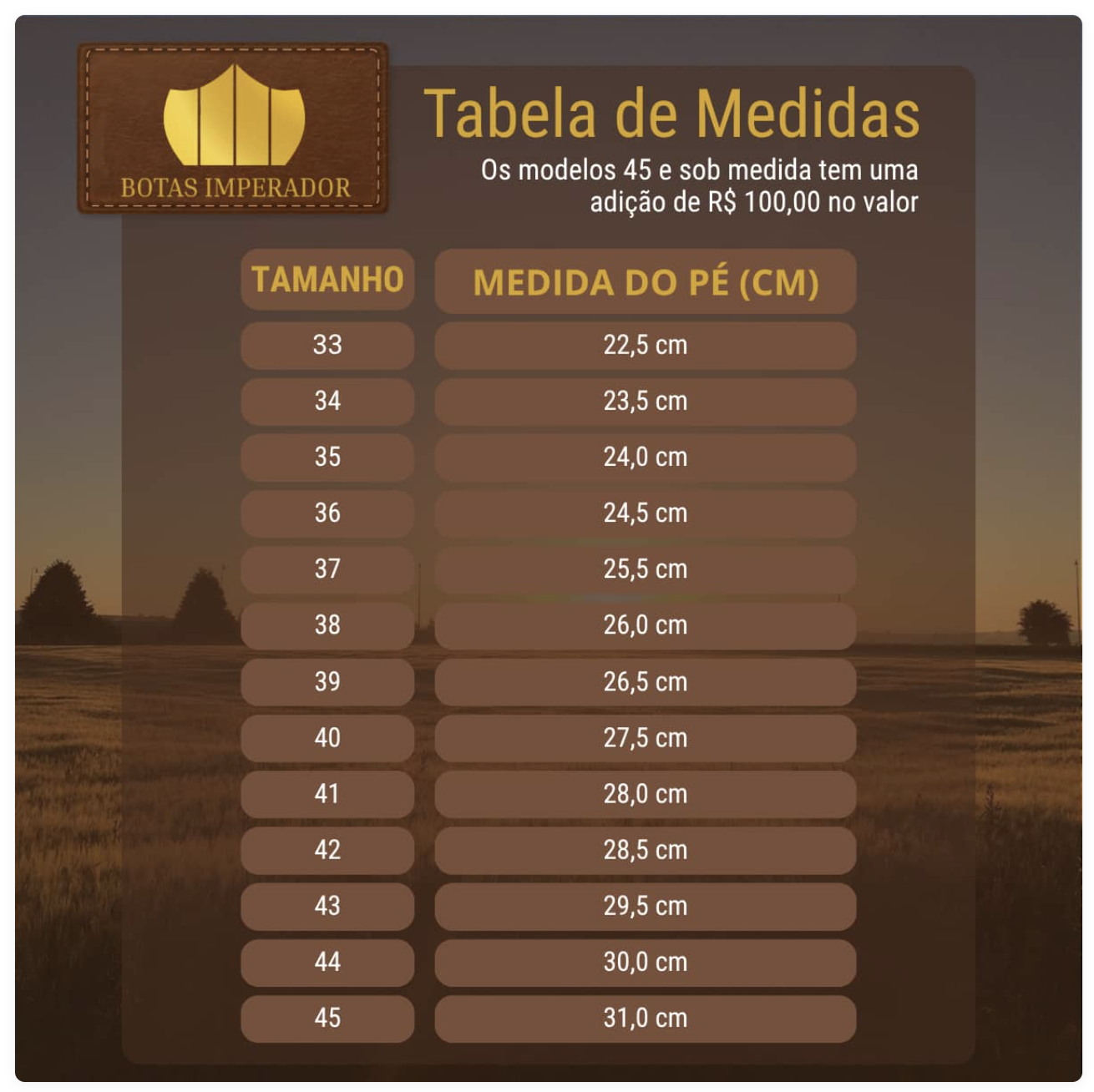 Tabela de Medidas